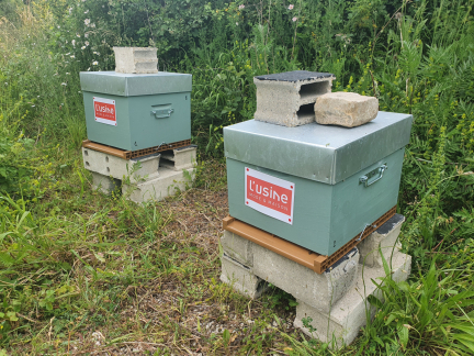 partenariat avec une apicultrice local
